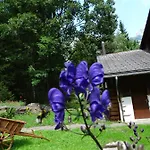 Feriehus Alpenparadies Komfort *