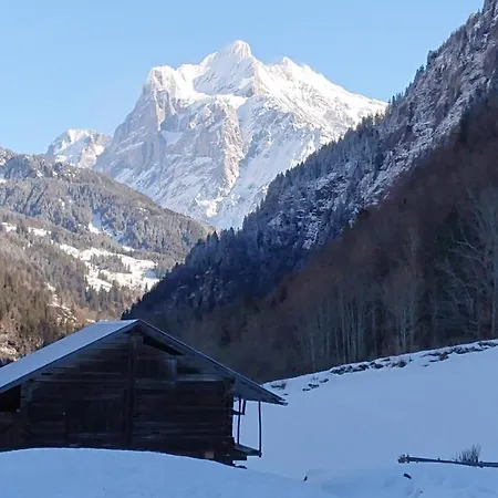 Alpenparadies Komfort * Гриндельвальд