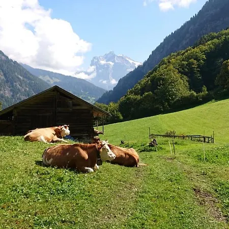 펜션 Alpenparadies Komfort 그린델발트