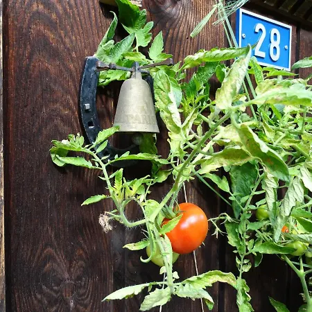 Alpenparadies Komfort 펜션