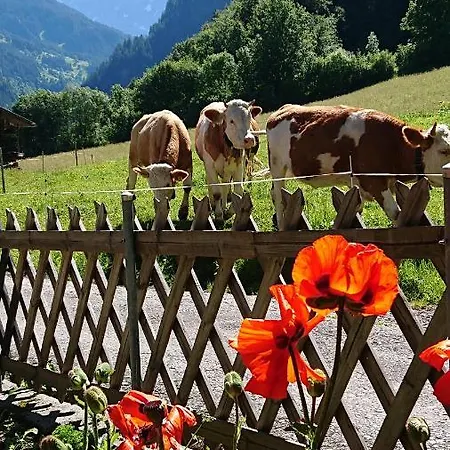 Holiday home Alpenparadies *