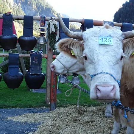 Alpenparadies Komfort