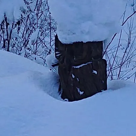 Alpenparadies Komfort Дом отдыха *