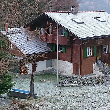 Alpenparadies Holiday home *