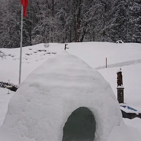 Holiday home Alpenparadies