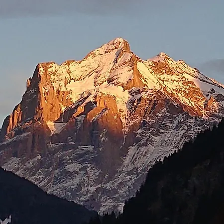 Alpenparadies Komfort *