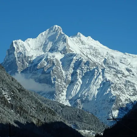 Alpenparadies Komfort * 그린델발트