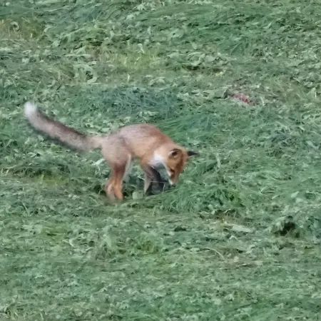 Alpenparadies Komfort *