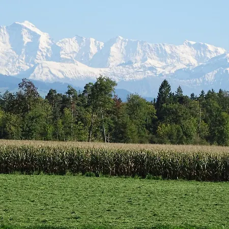 Alpenparadies Komfort 펜션 그린델발트