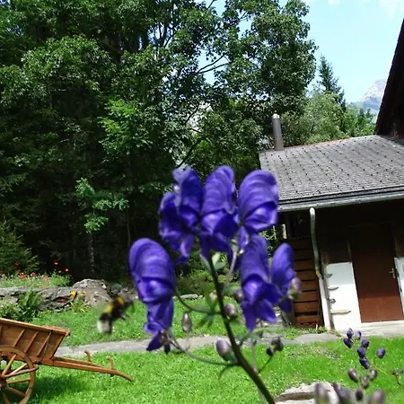 Дом отдыха Alpenparadies Komfort *