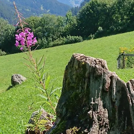 Alpenparadies Komfort *