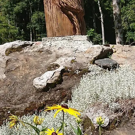 Alpenparadies Komfort * Гриндельвальд