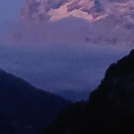 Alpenparadies Komfort 펜션 그린델발트