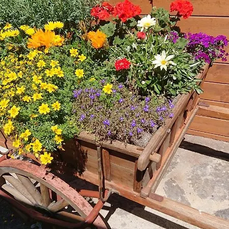 펜션 Alpenparadies Komfort 그린델발트