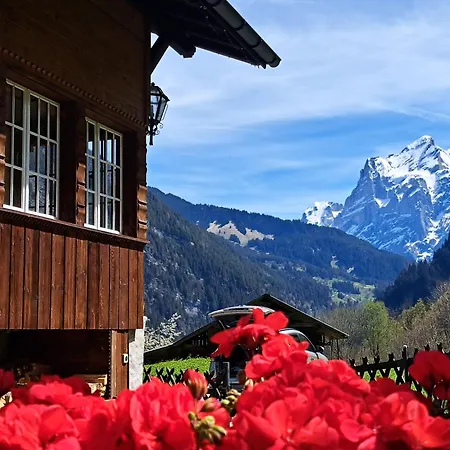 Alpenparadies Holiday home *
