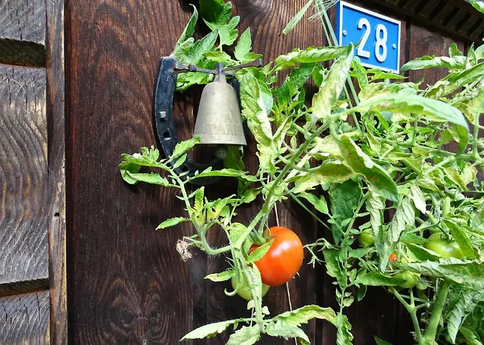 Alpenparadies Komfort Vakantiehuis