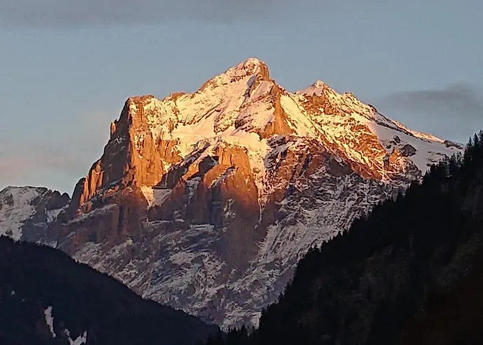 Alpenparadies Komfort *