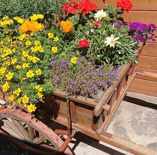 Vakantiehuis Alpenparadies Komfort Grindelwald