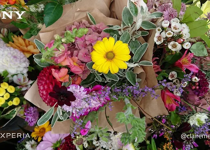 Feriehus Alpenparadies Komfort *