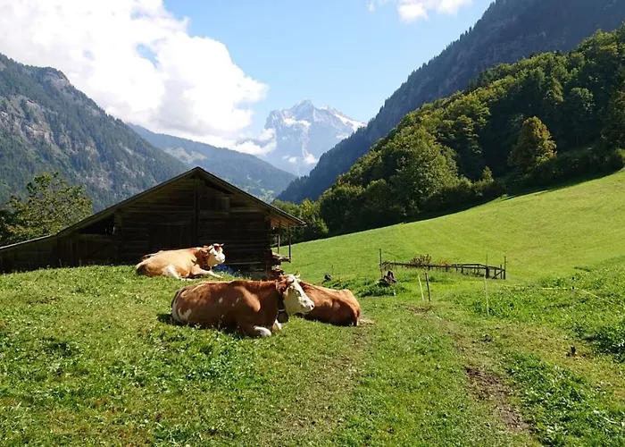 Feriehus Alpenparadies Komfort Grindelwald