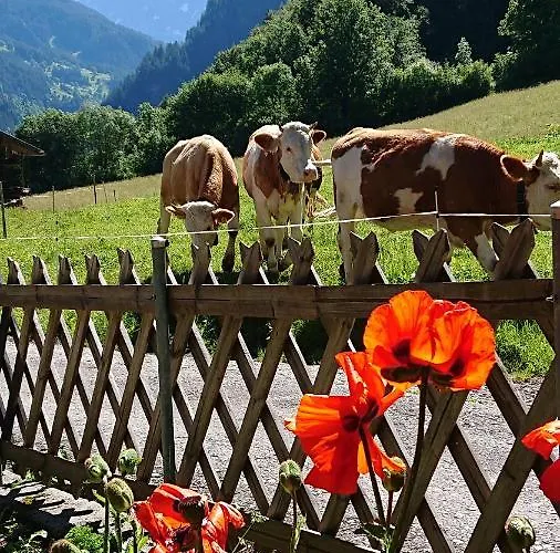 Feriehus Alpenparadies Komfort *