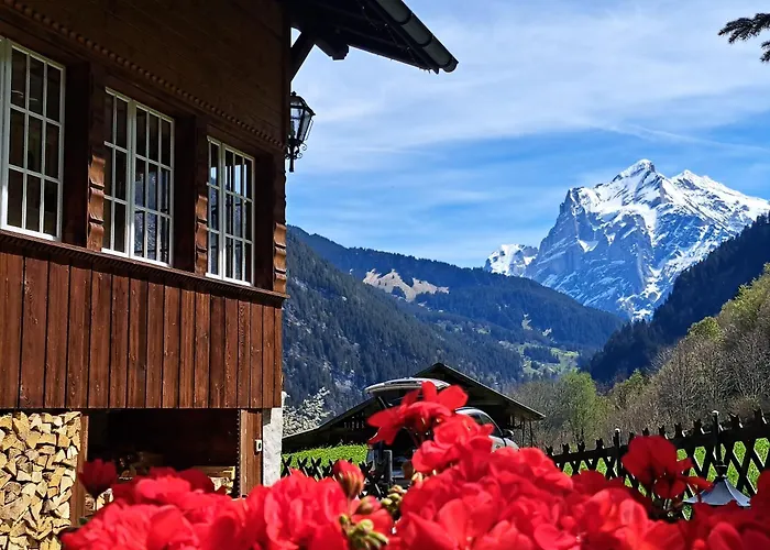 Alpenparadies Komfort Feriehus *
