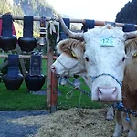 Alpenparadies Komfort