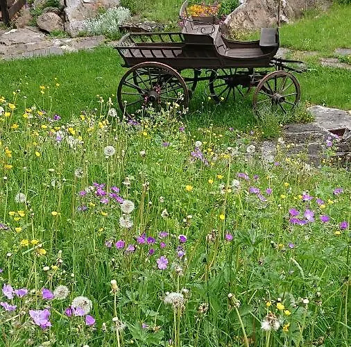 Alpenparadies Komfort בית נופש גרינדלוולד